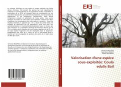 Valorisation d'une espèce sous-exploitée: Coula edulis Bail - Moupela, Christian; Doucet, Jean-Louis; Vermeulen, Cédric