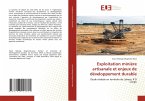Exploitation minière artisanale et enjeux de développement durable