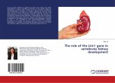 The role of the Lim1 gene in vertebrate kidney development
