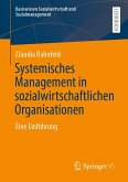 Systemisches Management in sozialwirtschaftlichen Organisationen (eBook, PDF)