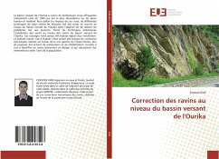 Correction des ravins au niveau du bassin versant de l'Ourika - Iheb, Essoussi