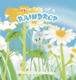 The tale of a raindrop The tale of a raindrop