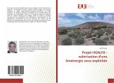 Projet (H)ALFA : valorisation d'une bioénergie sous-exploitée