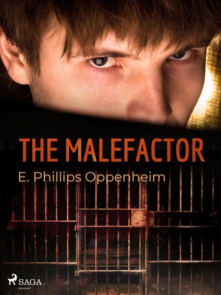 The Malefactor (eBook, ePUB)
