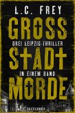 Großstadtmorde (eBook, ePUB)