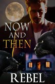 Now and Then (Touch of Gray, #5) (eBook, ePUB)