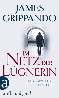 Im Netz der Lügnerin (eBook, ePUB) - Grippando, James