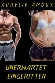 Unerwartet eingeritten (eBook, ePUB)