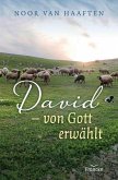 David - von Gott erwählt (eBook, ePUB)