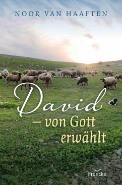 David - von Gott erwählt (eBook, ePUB) - Haaften, Noor van
