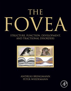 Cover The Fovea (eBook, ePUB)
