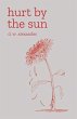 Hurt by the Sun (eBook, ePUB) - Bild 1