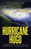 Hurricane Hugo (eBook, ePUB)