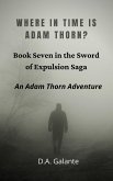 Where in Time Is Adam Thorn? (SWORD OF EXPULSION SAGA, #7) (eBook, ePUB)