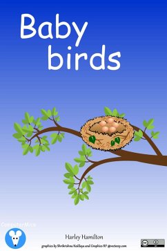 Cover Baby Birds (eBook, ePUB)