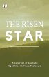 The Risen Star - Bild 1