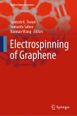 Electrospinning of Graphene (eBook, PDF)
