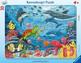 Ravensburger Kinderpuzzle - Unten im Meer - 30-48 Teile Rahmenpuzzle für Kinder ab 4 Jahren