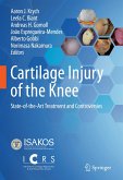 Cartilage Injury of the Knee (eBook, PDF)