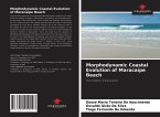 Morphodynamic Coastal Evolution of Maracaípe Beach