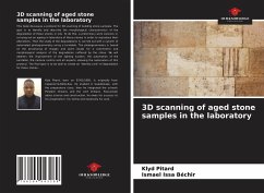 3D scanning of aged stone samples in the laboratory - Pitard, Klyd;Issa Béchir, Ismael