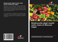 Biodiversità degli insetti nella risaia di Bhavani Sagar - Sivaprakasam, Umamaheswari