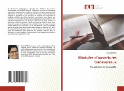 Modules d¿ouvertures transversaux - Birouk, Nadia