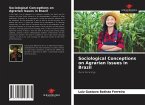 Sociological Conceptions on Agrarian Issues in Brazil