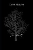 January (eBook, ePUB)