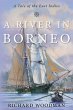 River in Borneo (eBook, ePUB) - Bild 1