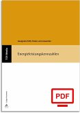 Energieleistungskennzahlen (E-Book, PDF) (eBook, PDF)