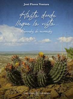 Hasta donde llegue la vista... (eBook, ePUB) - Flores Ventura, José