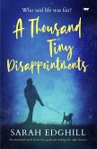A Thousand Tiny Disappointments (eBook, ePUB)
