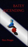 Batey Ascending (eBook, ePUB)