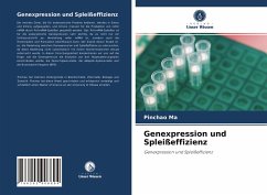 Genexpression und Spleißeffizienz - Ma, Pinchao