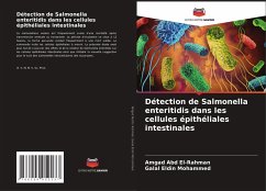 Détection de Salmonella enteritidis dans les cellules épithéliales intestinales - Abd El-Rahman, Amgad;Mohammed, Galal Eldin