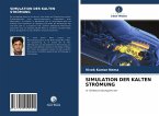 SIMULATION DER KALTEN STRÖMUNG