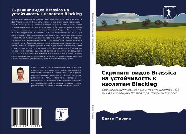 Skrining widow Brassica na ustojchiwost' k izolqtam Blackleg