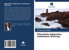 Mikrobiota Adipositas molekulare Wirkung - Sidibé, El Hassane