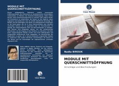 MODULE MIT QUERSCHNITTSÖFFNUNG - Birouk, Nadia