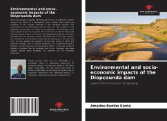 Environmental and socio-economic impacts of the Diopcounda dam - Konta, Amadou Bamba