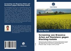 Screening von Brassica-Arten auf Resistenz gegen Blackleg-Isolate - Marino, Dante