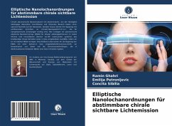 Elliptische Nanolochanordnungen für abstimmbare chirale sichtbare Lichtemission - Ghahri, Ramin;Petronijevic, Emilija;Sibilia, Concita