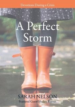 A Perfect Storm (eBook, ePUB) - Nelson, Sarah
