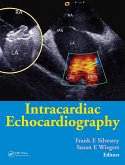 Intracardiac Echocardiography (eBook, ePUB)