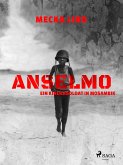 Anselmo - Ein Kindersoldat in Mosambik (eBook, ePUB)