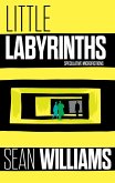 Little Labyrinths: Speculative Microfictions (eBook, ePUB)