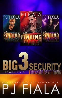 Big 3 Security Boxset 1 (eBook, ePUB) - Fiala, Pj