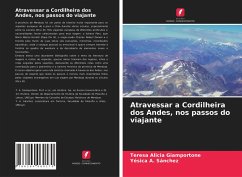 Atravessar a Cordilheira dos Andes, nos passos do viajante - Giamportone, Teresa Alicia;Sánchez, Yésica A.