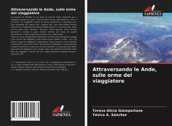 Attraversando le Ande, sulle orme del viaggiatore - Giamportone, Teresa Alicia;Sánchez, Yésica A.